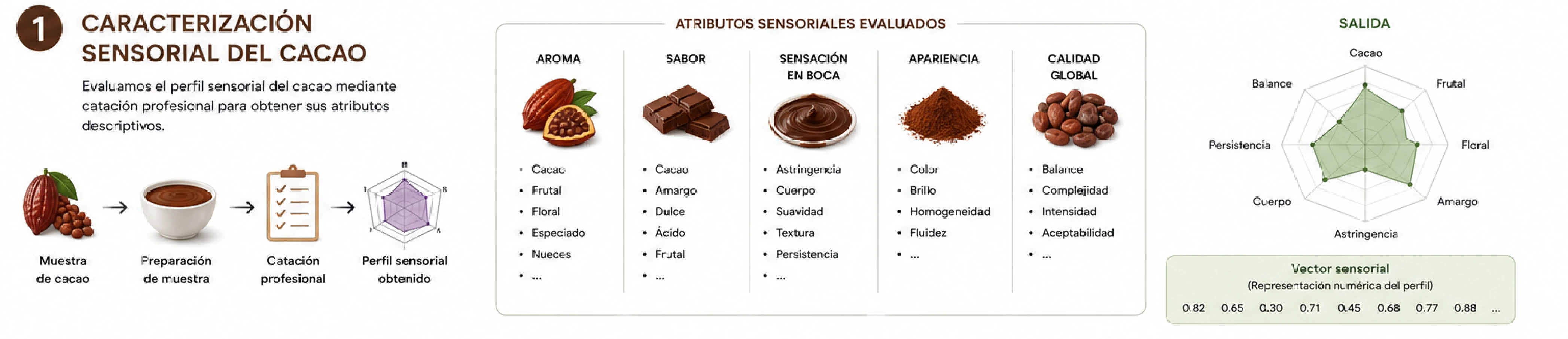 Paso 1 — Caracterización sensorial del cacao: atributos evaluados (aroma, sabor, sensación en boca, apariencia) y vector sensorial de salida representado como gráfico de radar