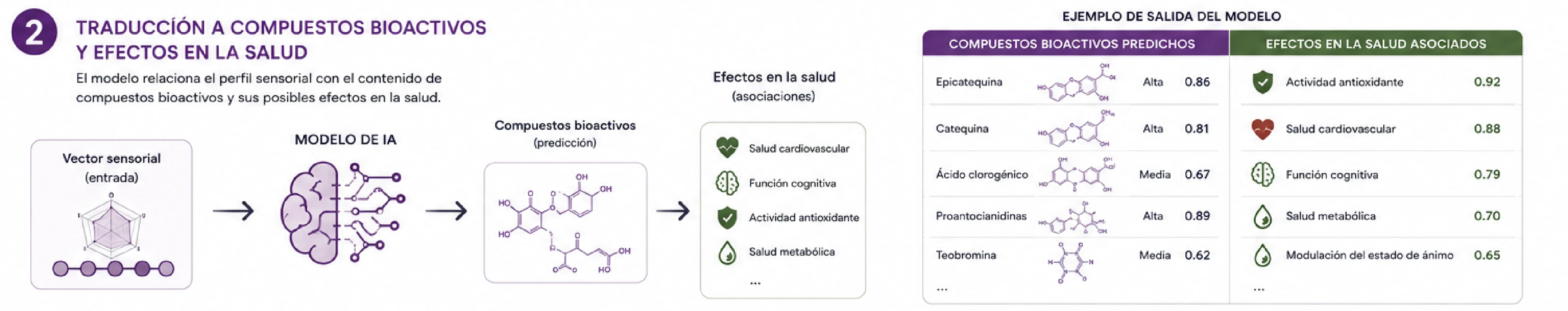 Paso 2 — El modelo de IA traduce el vector sensorial en predicciones de compuestos bioactivos (epicatequina, canquina, ácido clorogénico…) con su nivel de concentración y efectos en salud asociados