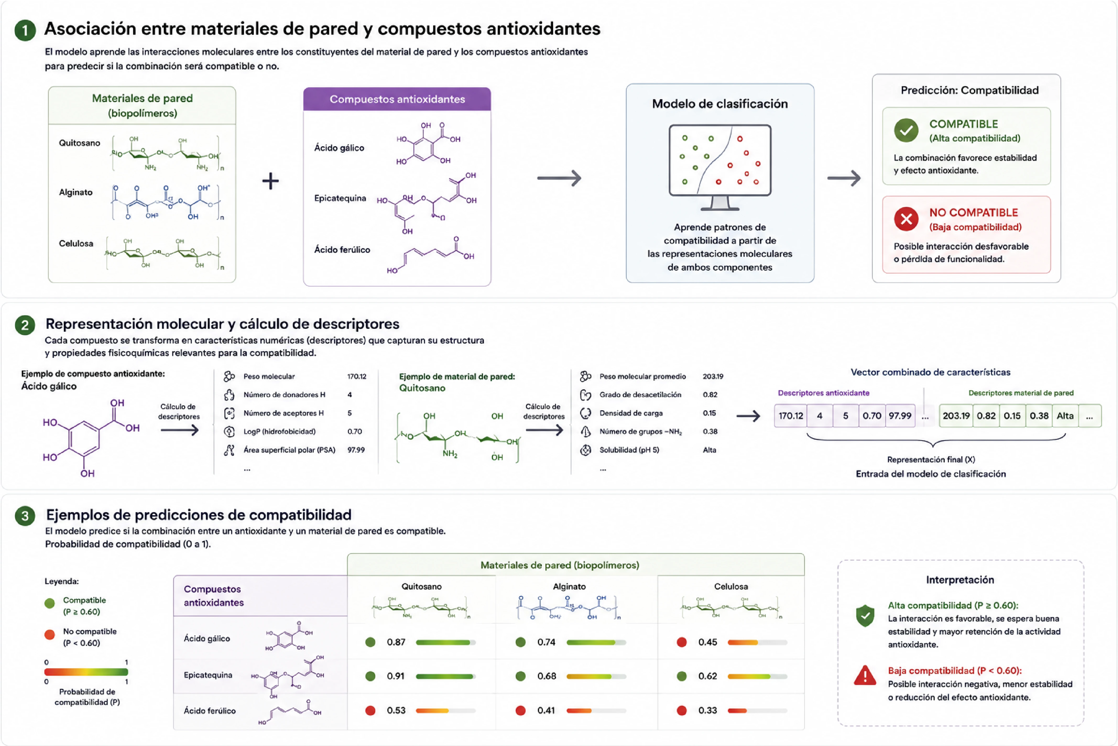 Metodología completa: asociación molecular antioxidante–material de pared, cálculo de descriptores fisicoquímicos y tabla de predicciones de compatibilidad con probabilidades